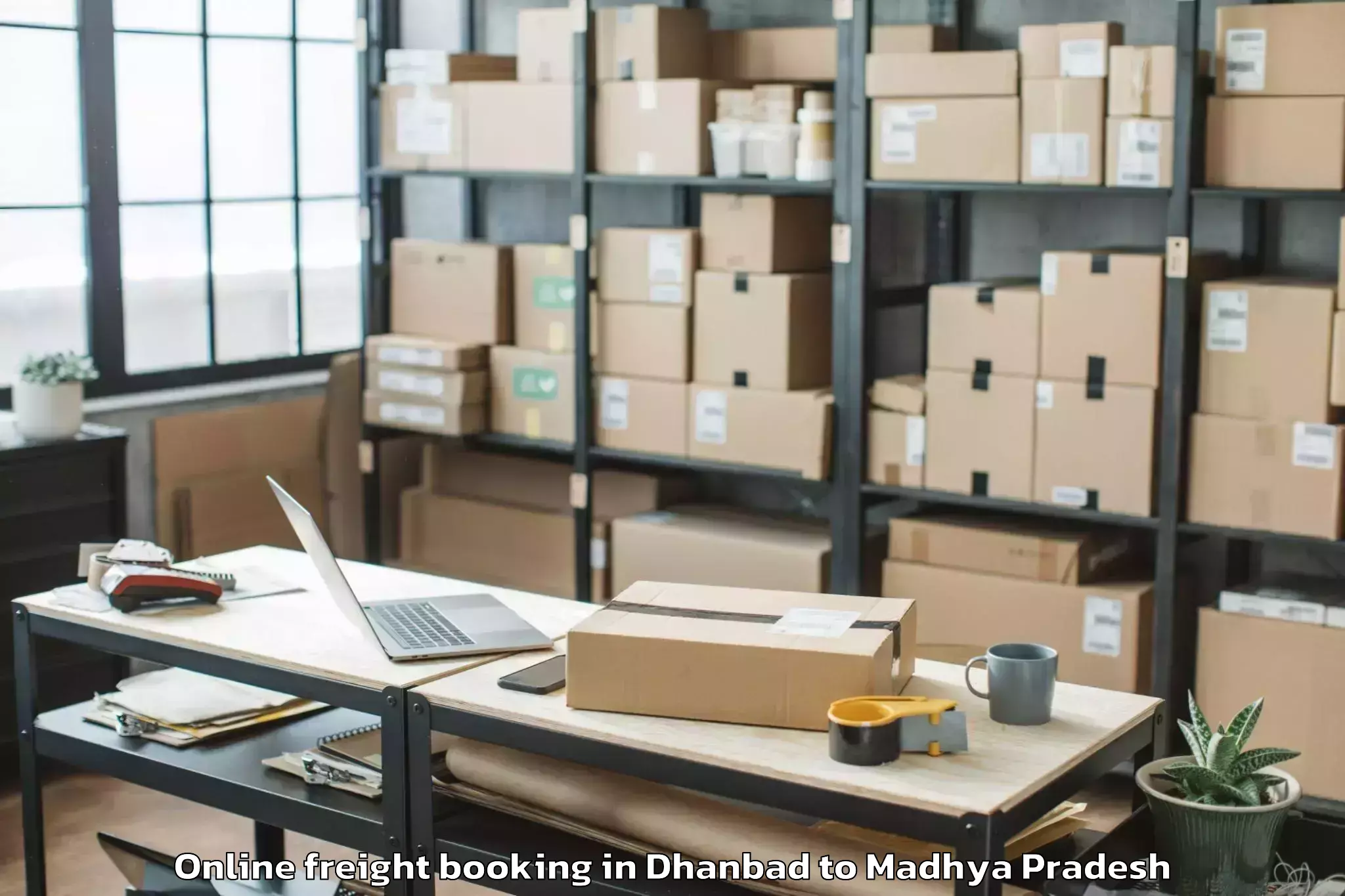 Expert Dhanbad to Aron Online Freight Booking